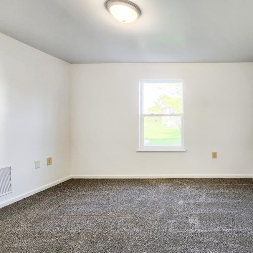 a room with a carpet and a window